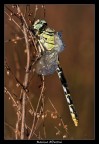 Che umidità, stamattina! Che umidità, stamattina!