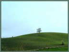 maremma maremma