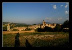 Urbino