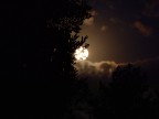 La signora della notte La signora della notte