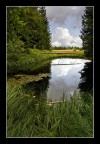 Lago Mara Lago Mara