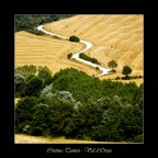 Val d'Orcia
Estate 2008