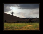 Il sole bacia i belli Il sole bacia i belli