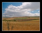 ...CAMPI... ...CAMPI...