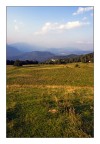 La Quercia La Quercia