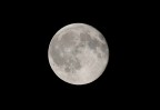 Luna Luna