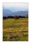 La Quercia