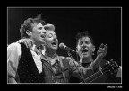 Stray Cats Stray Cats