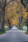 Torna l'autunno sul Carso triestino... Torna l'autunno sul Carso triestino...