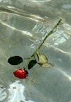 la fine di un amore la fine di un amore