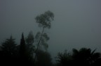 alba nebbiosa 2 alba nebbiosa 2