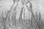 Una foresta sulla sabbia Una foresta sulla sabbia