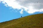 in perfetta solitudine in perfetta solitudine