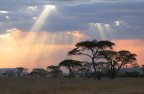 Tanzania I miss you ... Tanzania I miss you ...