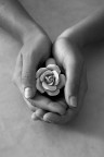 hands hands