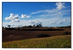 Terre trasimene 2