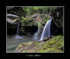 ..relax ..relax
