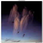 Cervia, Festival degli Aquiloni 2008. Inizia la "Notte dei Miracoli".

Dati di scatto:
Nikon D70s
Nikkor 18-70 AF-S a 18mm
30" f/16, ISO 200
WB: sunlight, SC: Adobe RGB