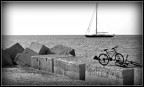 Bici sul Molo Bici sul Molo