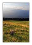 Una linea che divide