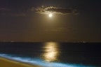 La magia della Luna La magia della Luna