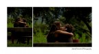 love song love song