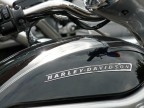 Harley Harley