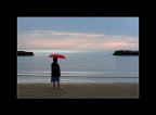 la signora in rosso .. la signora in rosso ..