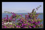 V...esuvio V...esuvio