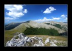 Monti Monti