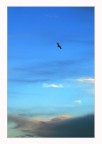 ...Armonia nel cielo...