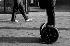 .: evoluzione della specie :. .: evoluzione della specie :.