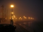 Quando la nebbia arriva, tutti vengono nascosti... tranne loro...le luci...