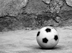 Amarcord Amarcord