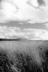 paesaggio