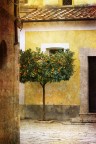 Dietro l'angolo Dietro l'angolo