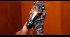 Cavallo Cavallo