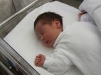 12 hours old 12 hours old