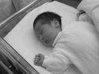 12 hours old (bw)