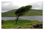 Vento d'Irlanda Vento d'Irlanda