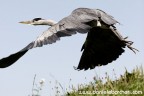 Take-off Take-off