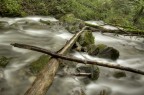 acqua acqua