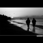 ::: UN NUOVO GIORNO :::