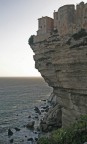 bonifacio bonifacio