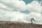 solitario solitario
