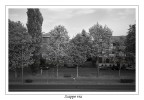 Scappo via