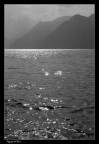 Riflessi sul Lago di Garda Riflessi sul Lago di Garda