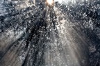 E luce sia! E luce sia!
