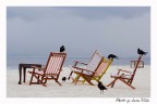 Spiaggia libera Spiaggia libera