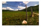 Bosnia_Road to the clouds_col Bosnia_Road to the clouds_col